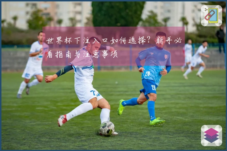 世界杯下注入口如何选择?新手必看指南与注意事项